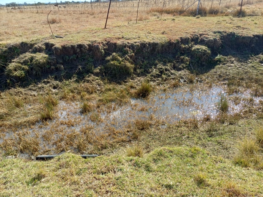 Commercial Property for Sale in Martindale Free State